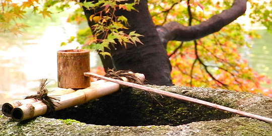 京都御苑の茶室から